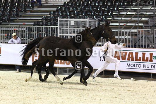 PRINCESS LIESA_MILANO_2010_SS3_7463.jpg